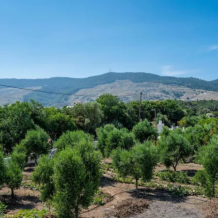 Olive Haven-3br-private Parking-balcony * Kos Town